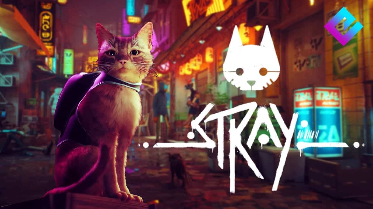 Stray - Jogo do Gato no Xbox [#stray #xboxseriesx] 