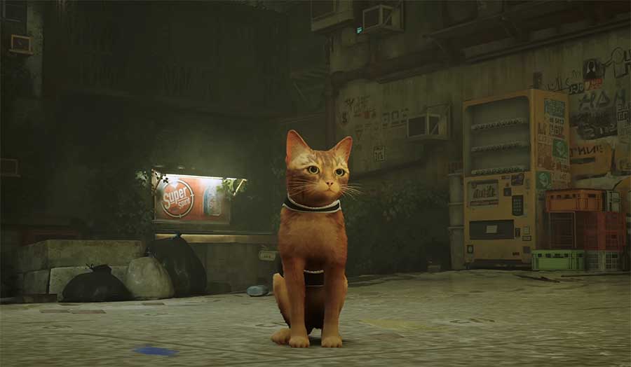 Stray, Jogo protagonizado por gato é lançado para PS4, PS5 e PC