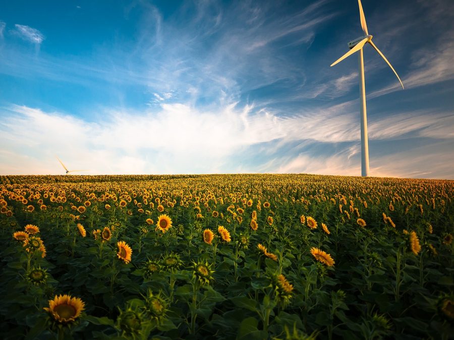 Cada tipo de energia verde tem suas próprias vantagens e desafios.