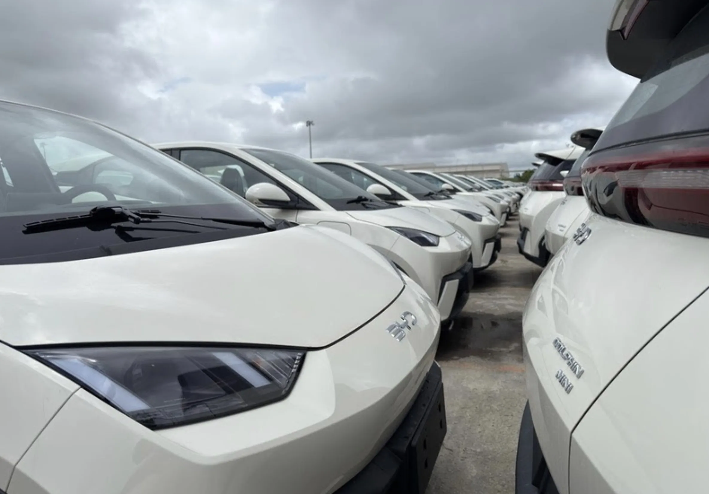 Os embarques começaram no dia 23 de outubro e mostraram ritmo crescente. As primeiras cegonhas deixaram a Bahia com destino a várias regiões brasileiras.